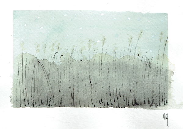 Juncos en acuarela