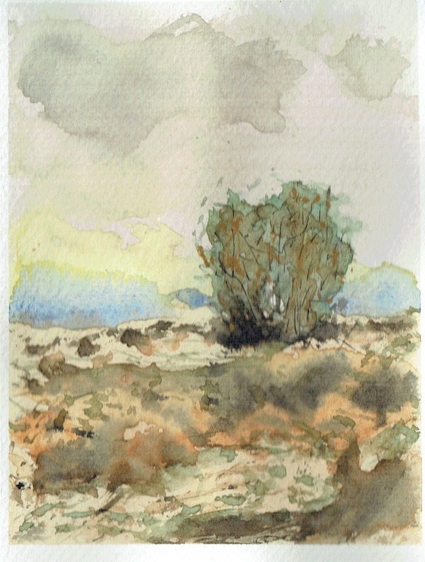 Suelo del bosque en acuarela