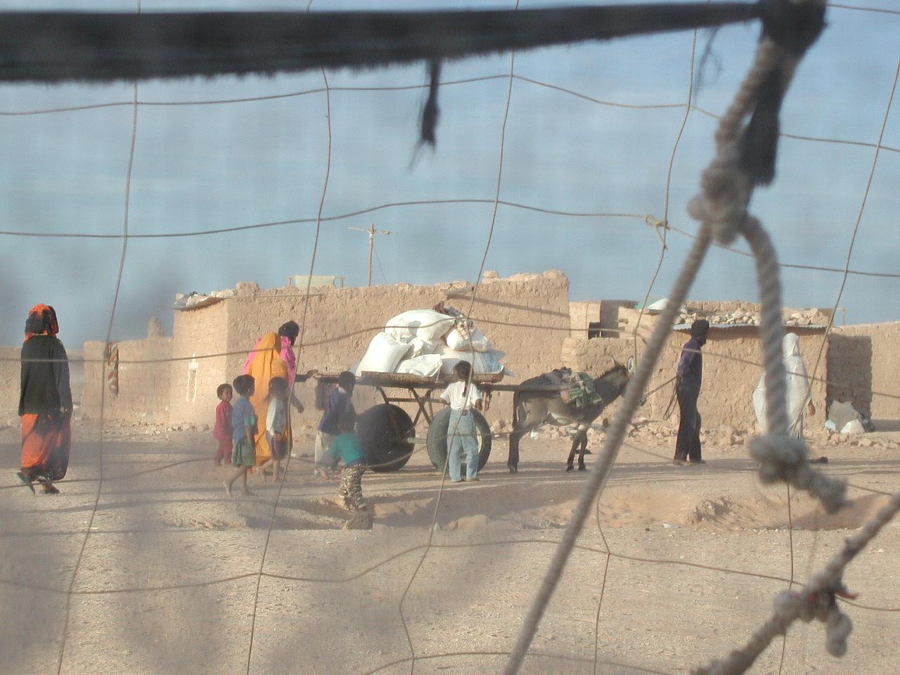 Fotografía del Sáhara 2