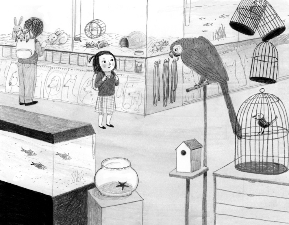 Ilustración Tres Historias con Gato 6