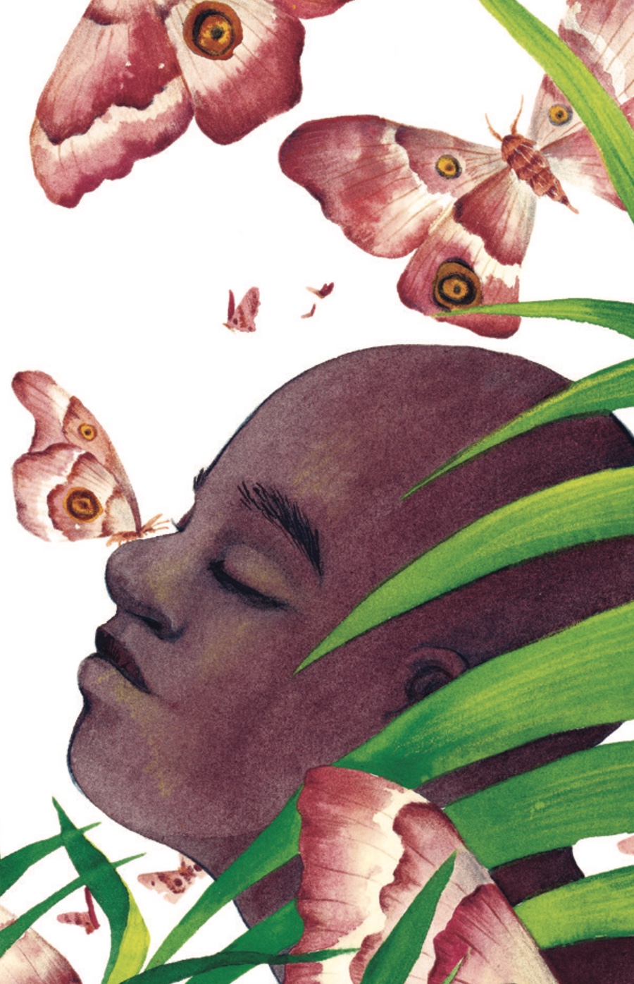 Ilustración Música entre las Ramas 4