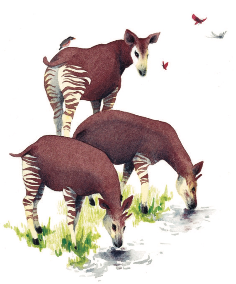 Ilustración Música entre las Ramas 5