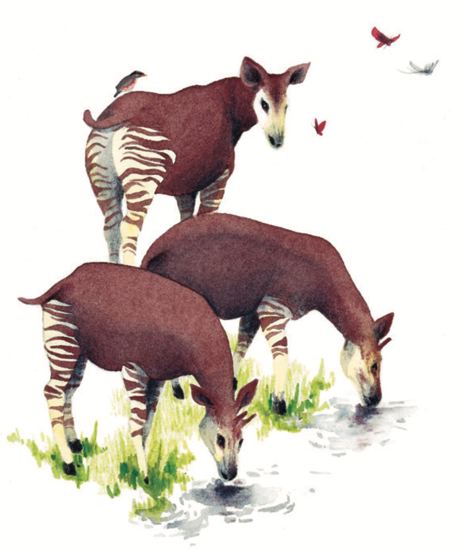 Ilustración Música entre las Ramas 5