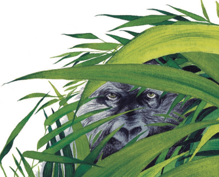 Ilustración Música entre las Ramas 6