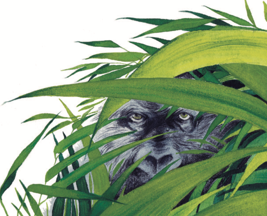 Ilustración Música entre las Ramas 6