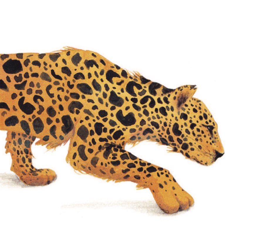 Ilustración Música entre las Ramas 7