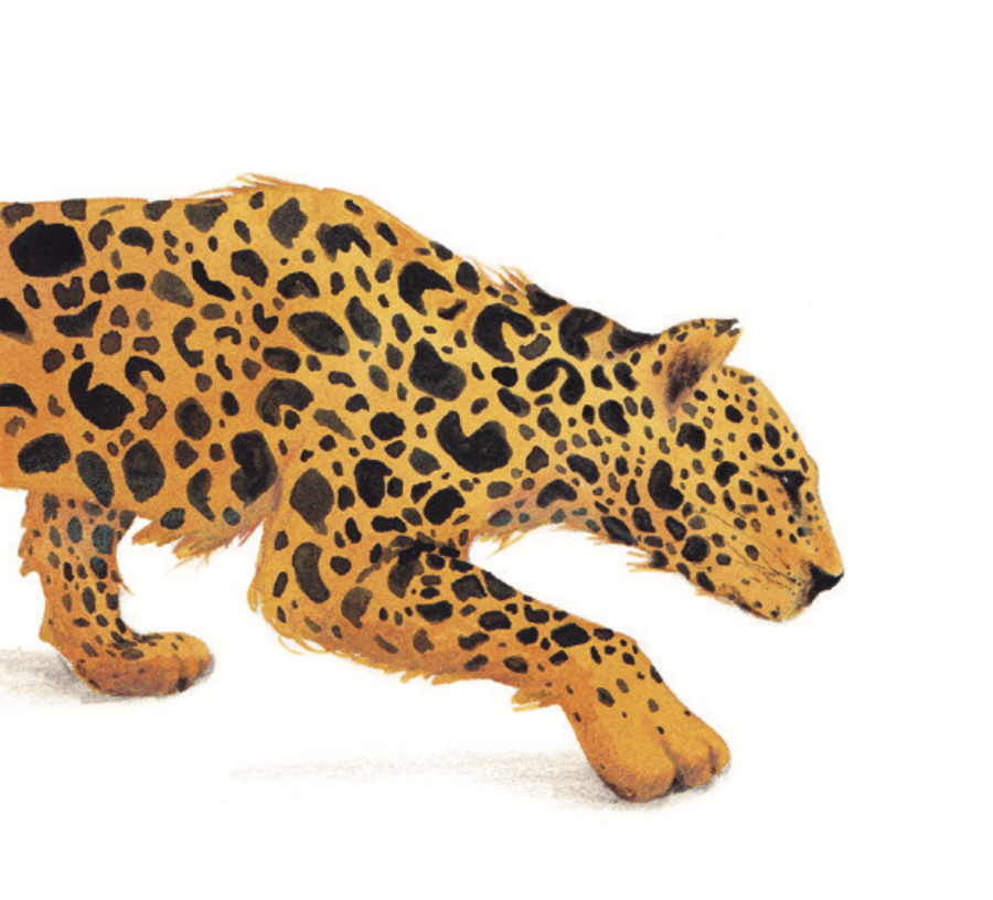 Ilustración Música entre las Ramas 7