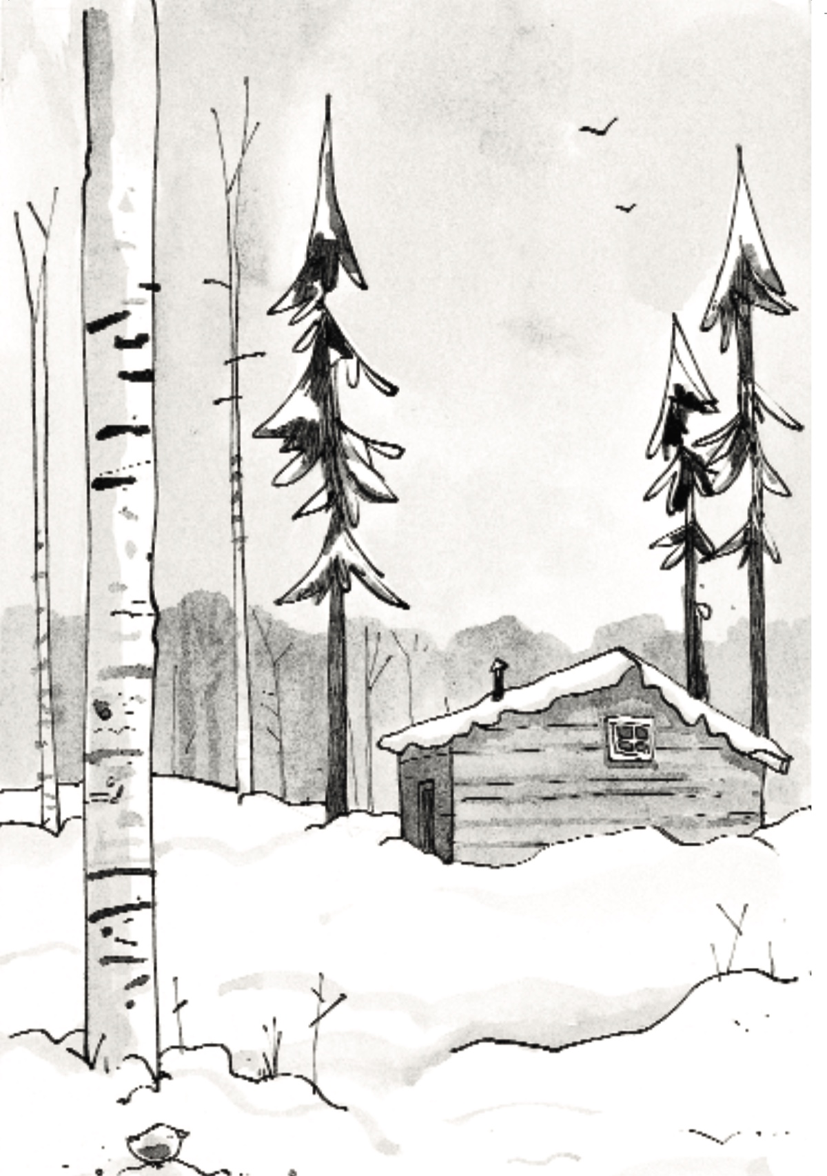 Ilustración zorros 3