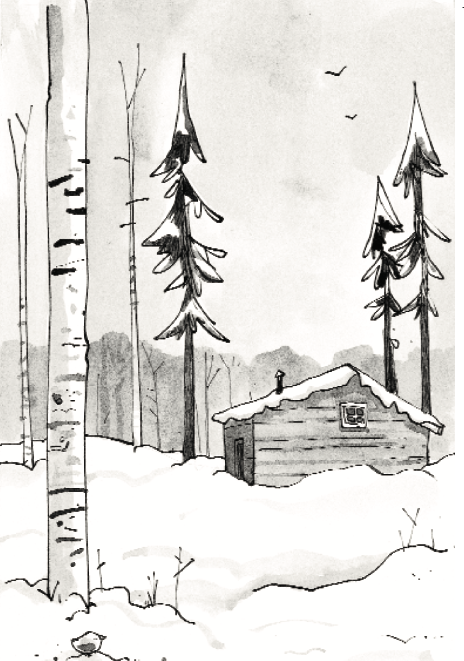 Ilustración zorros 3