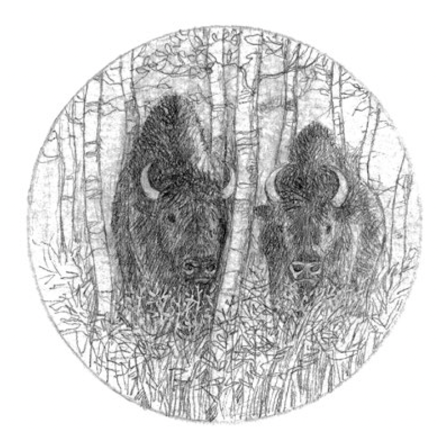 Ilustración Caballos en la Nieve 13