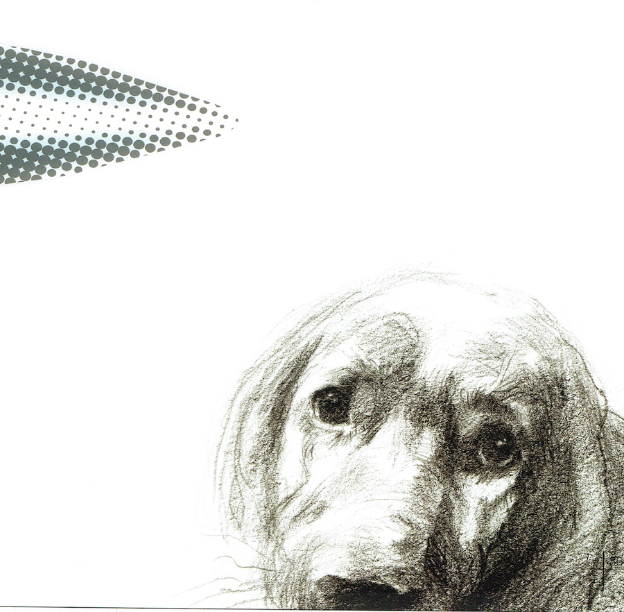 Ilustración Cuentos Crudos 5