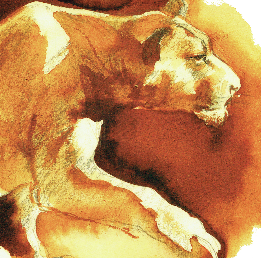 Ilustración Cuentos Crudos 6