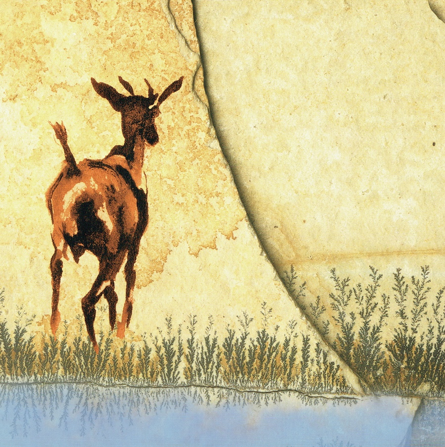 Ilustración Cuentos Crudos 7