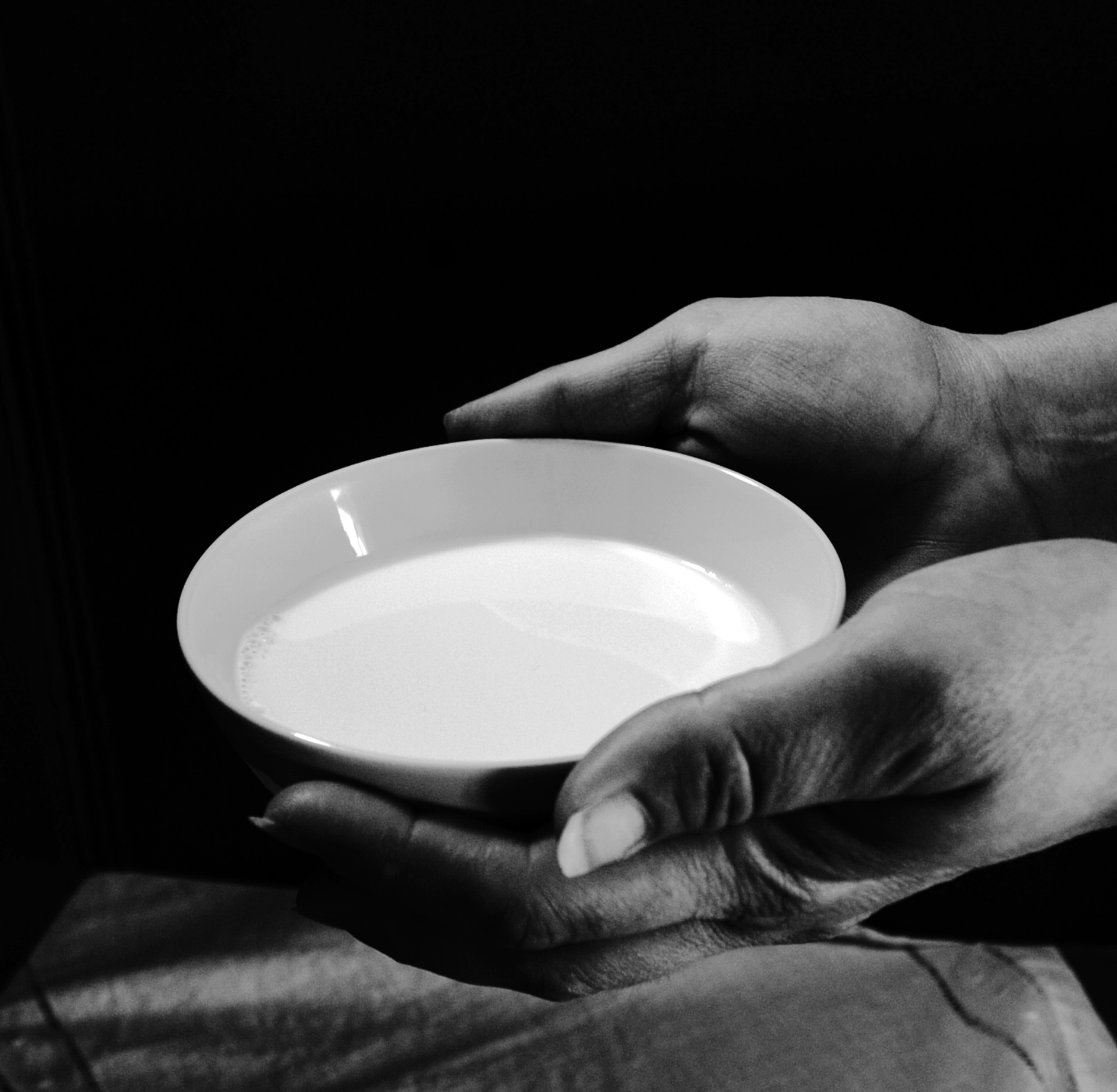 Ilustración Cuentos Crudos 12