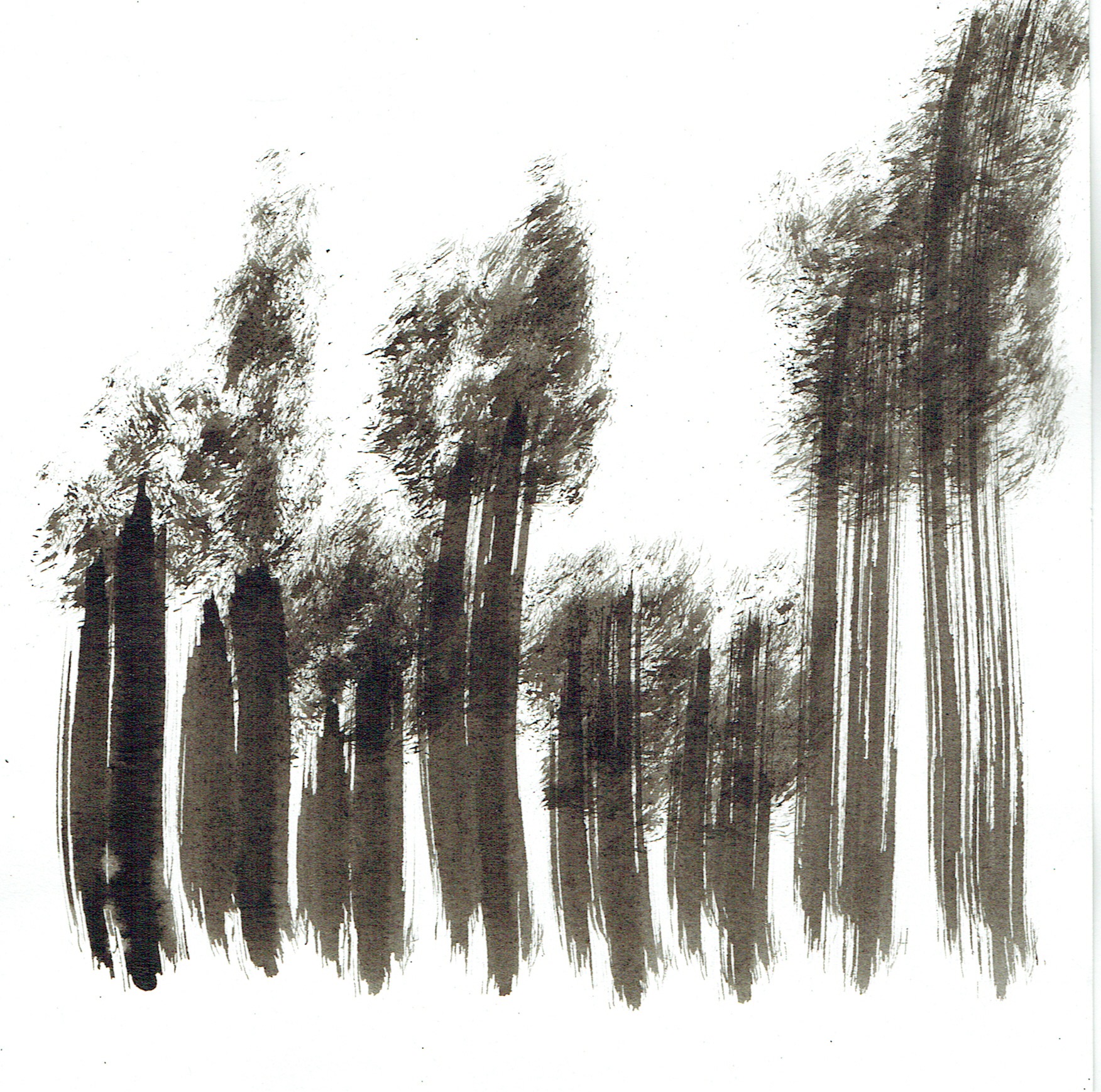 Árboles a tinta china